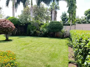 Commercial Property to Rent in Belvedere