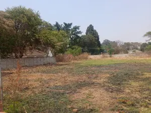 Stand for Sale