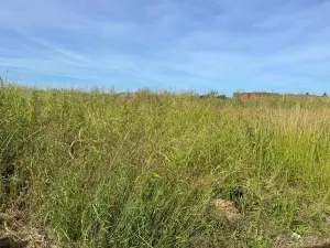 Residential Stand for Sale