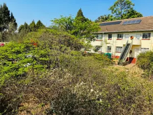 Flat/Apartment to Rent