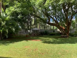 4 Bedroom House to Rent in Chisipite