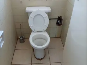 5 Bedroom House to Rent in Mount Pleasant