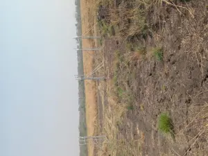 Farm for Sale