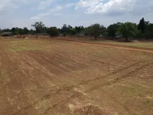 Residential Stand for Sale