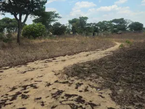 Industrial Stand for Sale