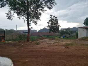 Commercial Stand for Sale