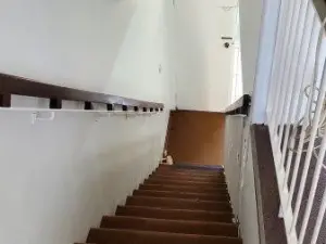Flat/Apartment to Rent in Kensington
