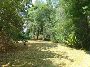 4 Bedroom House to Rent in Borrowdale