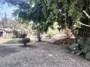 Commercial Property to Rent in Mount Pleasant