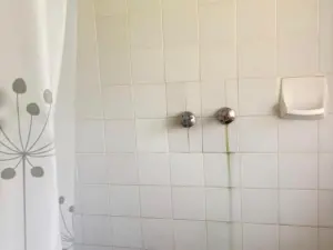 7 Bedroom House to Rent in The Grange