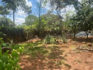 Commercial Property to Rent in Greendale North