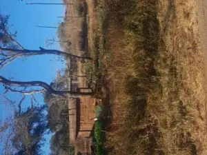 4 Bedroom House to Rent in Greystone Park