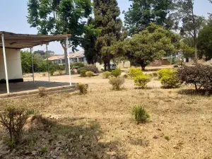 Stand for Sale