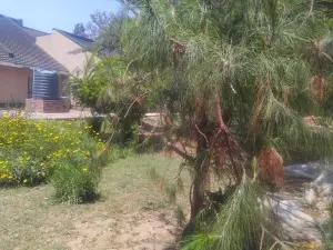 4 Bedroom House to Rent in Greendale
