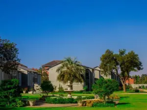 Flat/Apartment to Rent in Eastlea