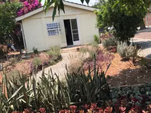 Office to Rent in Newlands