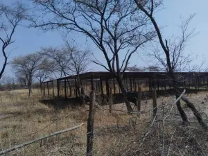 Farm for Sale