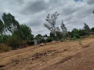 Residential Stand for Sale