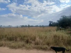 Farm for Sale