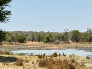 Farm for Sale