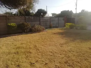 House to Rent