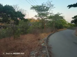 Farm for Sale