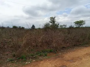 Residential Stand for Sale