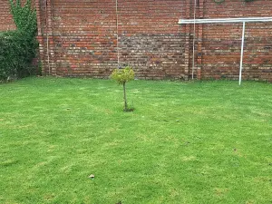 Townhouse/Complex/Cluster to Rent in Highlands