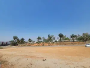 Commercial Stand for Sale