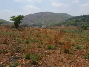 Farm for Sale