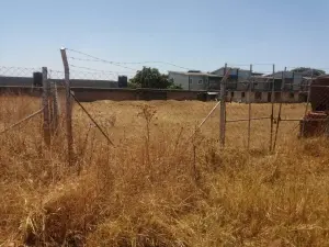 Stand for Sale