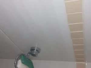 Flat/Apartment to Rent