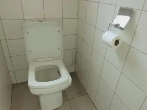 2 Bedroom Cottage/Garden Flat to Rent in Avondale