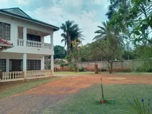 Flat/Apartment to Rent in Avondale West