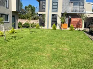 Flat/Apartment to Rent