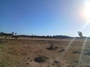 Industrial Property for Sale