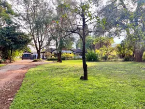 Office to Rent in Borrowdale