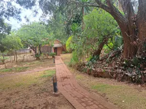 3 Bedroom House to Rent in Chisipite