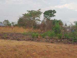 Residential Stand for Sale