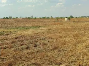 Residential Stand for Sale