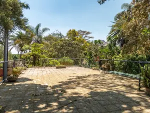 4 Bedroom House to Rent in Chisipite