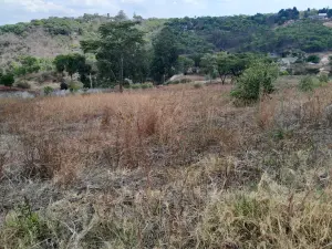 Residential Stand for Sale