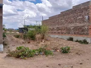 Commercial Stand for Sale