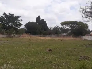 Residential Stand for Sale