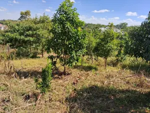 Residential Stand for Sale