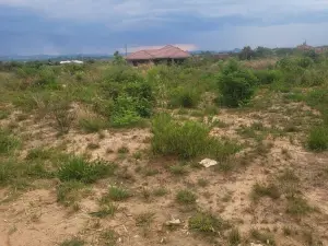 Residential Stand for Sale