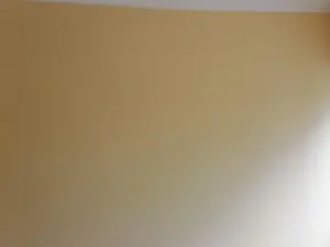 Flat/Apartment to Rent in Avondale