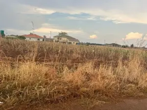 Residential Stand for Sale