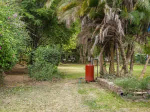 3 Bedroom House to Rent in Chisipite