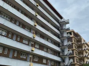 Flat/Apartment to Rent